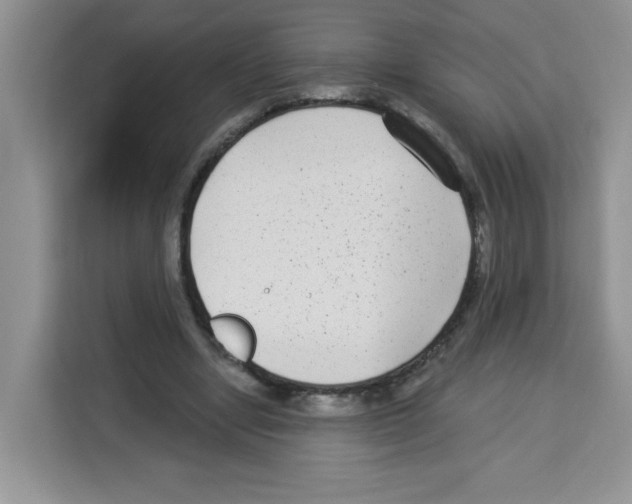 X0000113270442200910221102