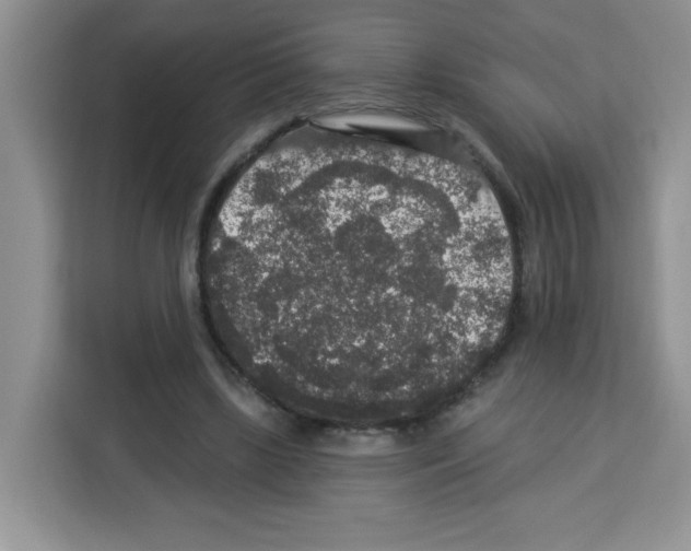 X0000113270443200910221102