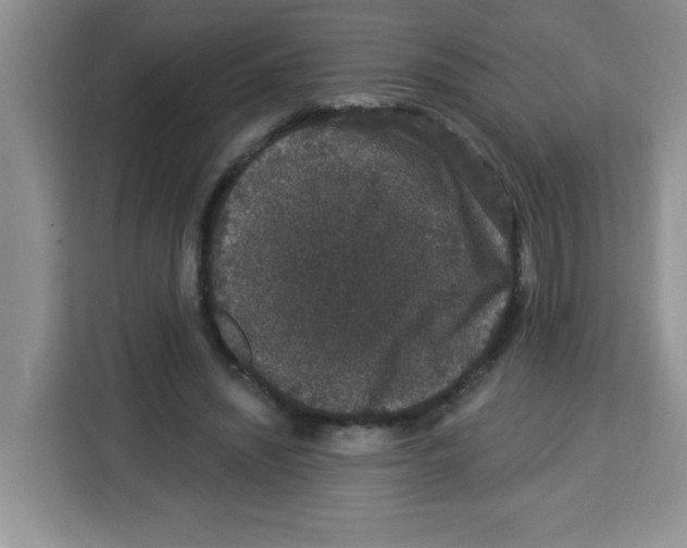 X0000113270444200910221102