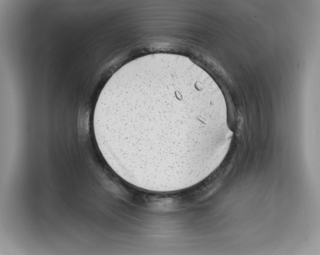 X0000113270454200910221102