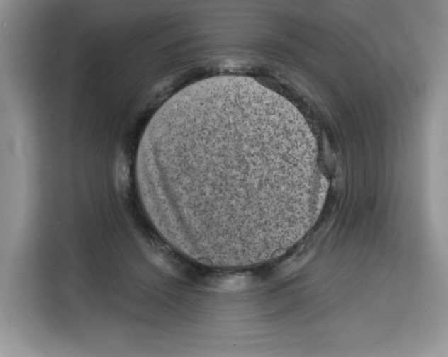 X0000113270456200910221102