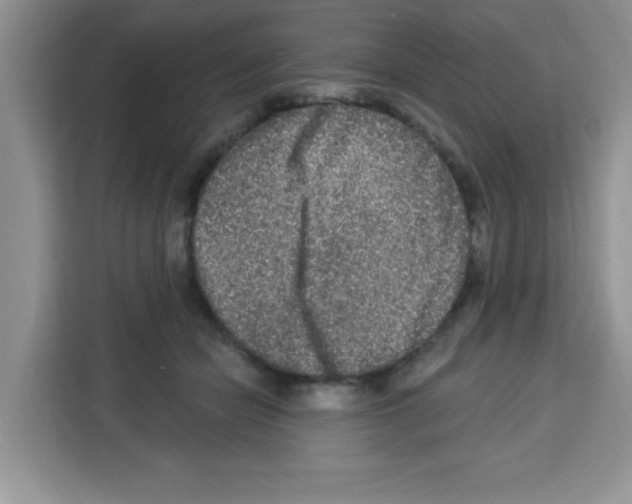 X0000113270462200910221102