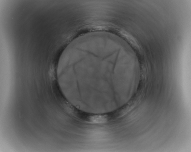 X0000113270465200910221102