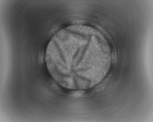 X0000113270474200910221103