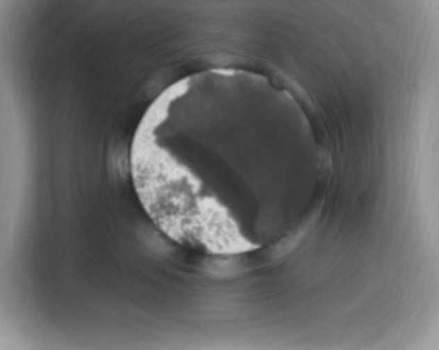 X0000113270479200910221103