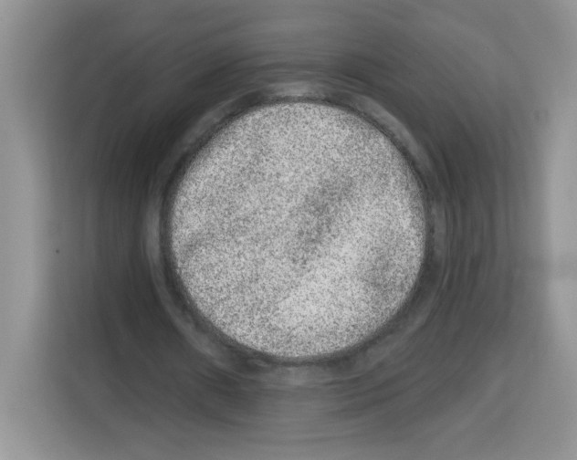 X0000113270482200910221102