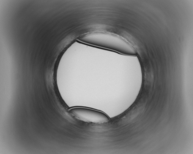 X0000113270485200910221102