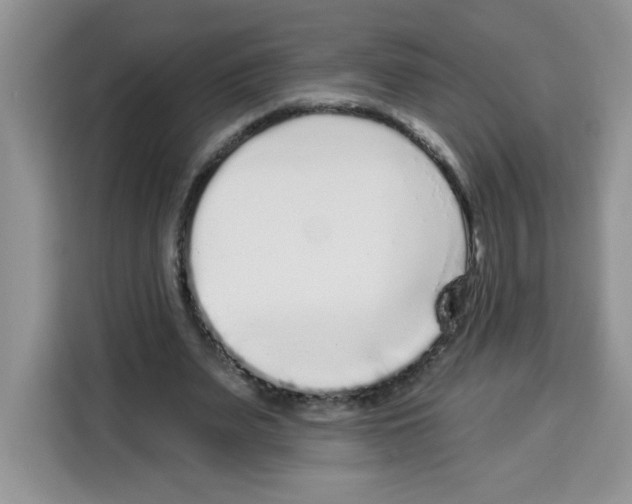 X0000113270487200910221102