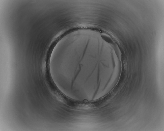 X0000113270488200910221102