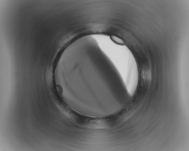 X0000113270492200910221102