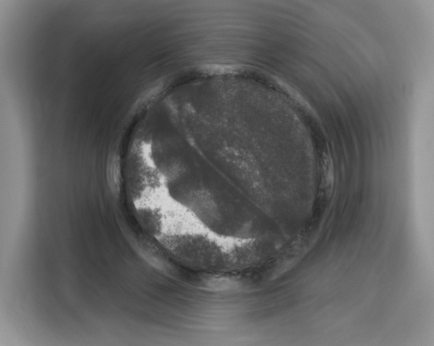 X0000113270494200910221102