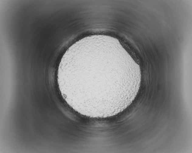 X0000113270495200910221102