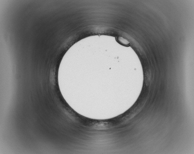 X0000113270497200910221102