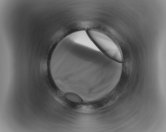 X0000113270500200910221102