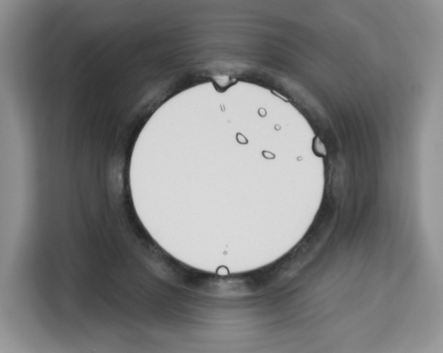 X0000113270501200910221102