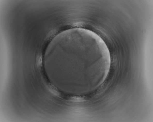 X0000113270502200910221102