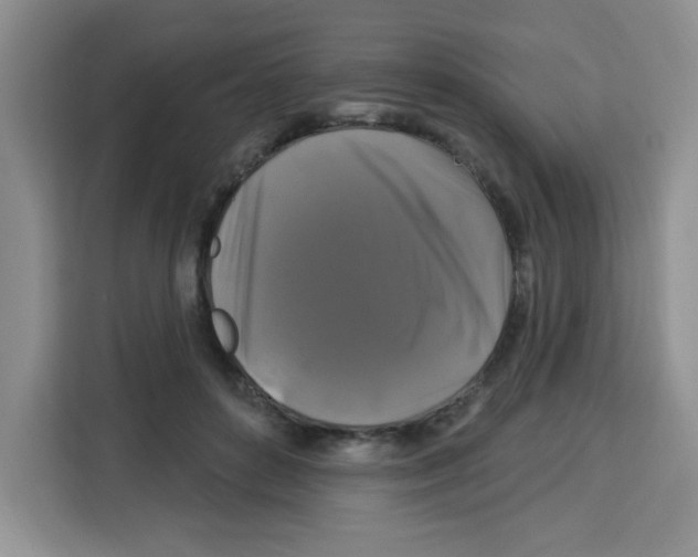 X0000113270504200910221102