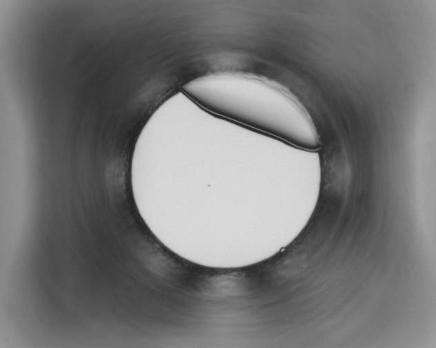 X0000113270505200910221102