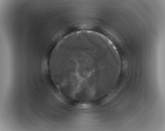 X0000113270506200910221102