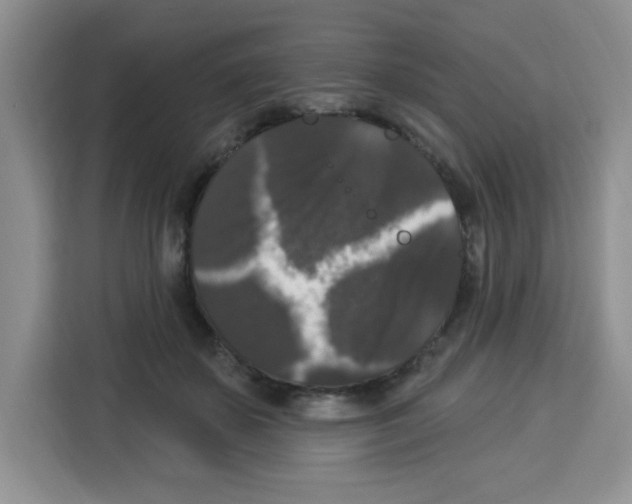 X0000113270507200910221102