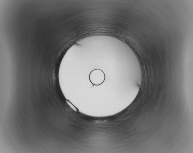 X0000113270508200910221102