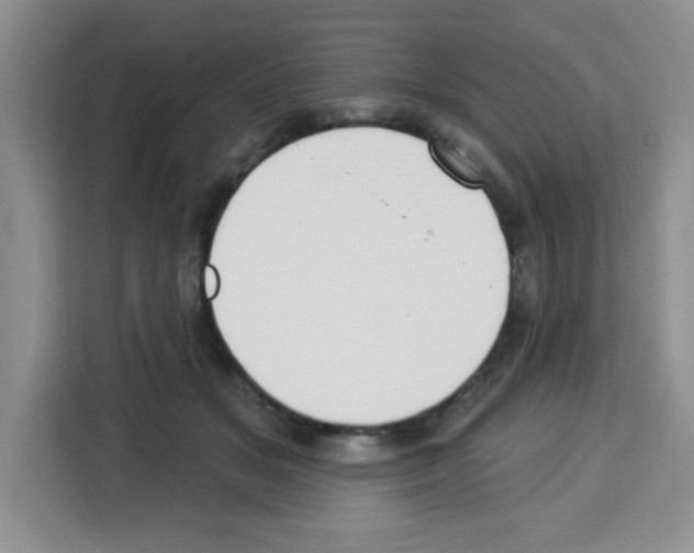 X0000113270509200910221102