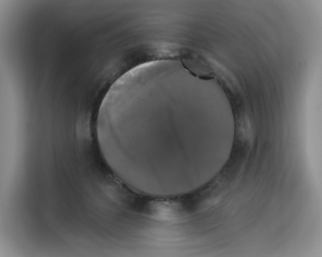 X0000113270512200910221102