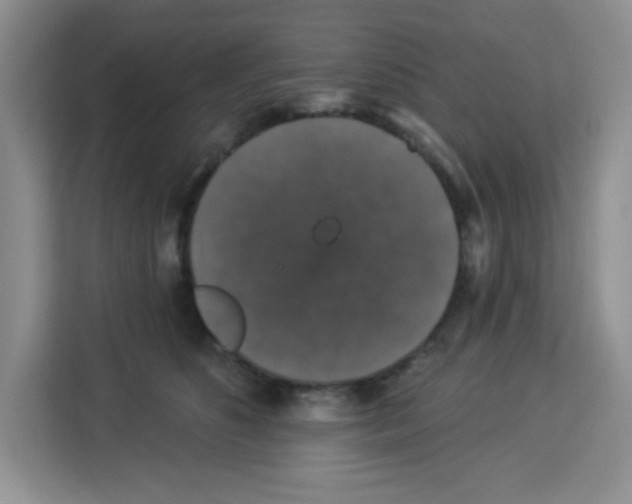 X0000113270516200910221102