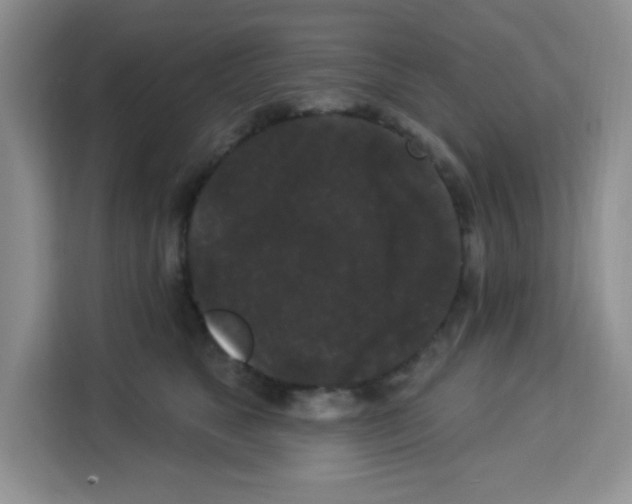 X0000113270517200910221102