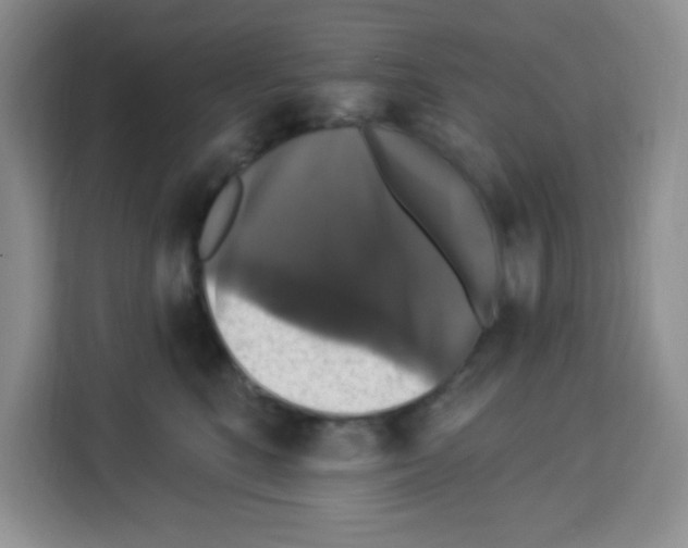 X0000113270520200910221102