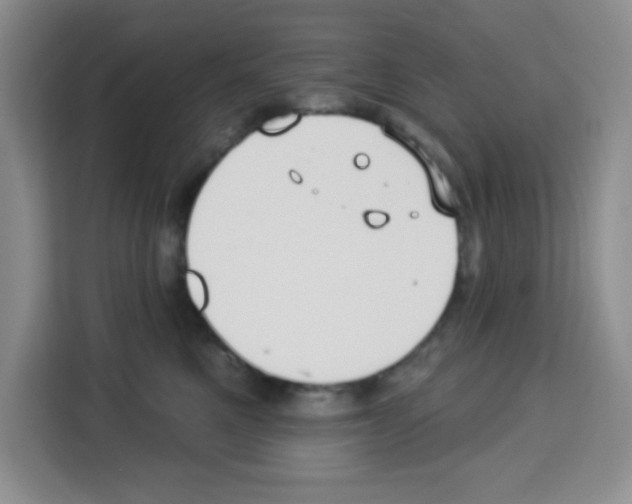 X0000113270521200910221102