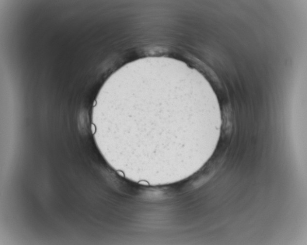 X0000113270523200910221101