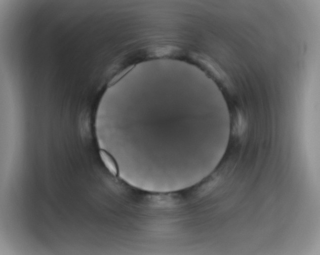 X0000113270524200910221101