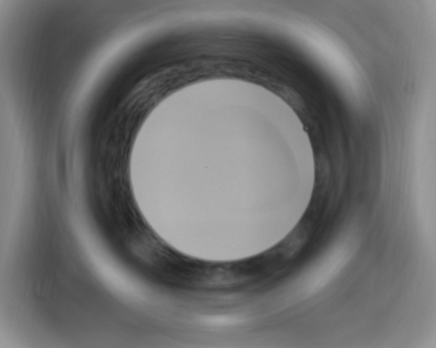 X0000113270526200910221101