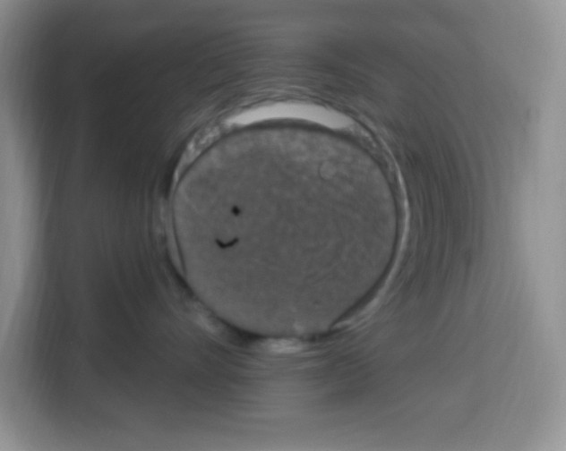 X0000113270528200910221101