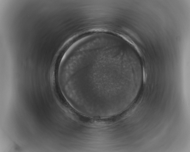 X0000113270531200910221101