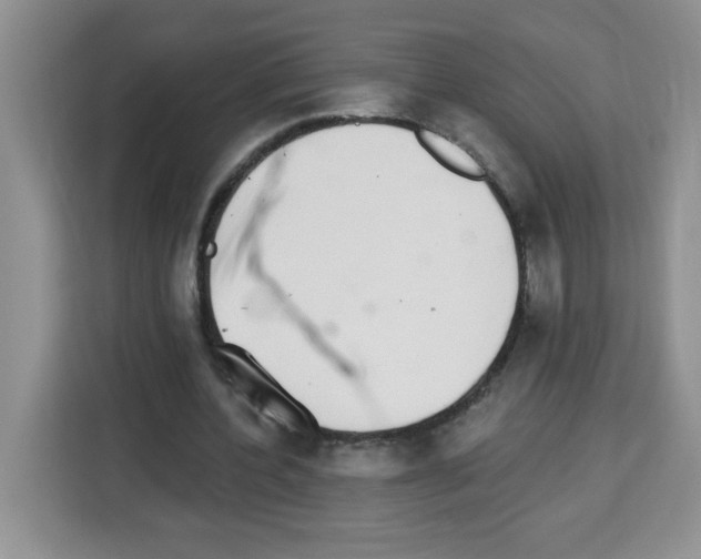 X0000113270532200910221101