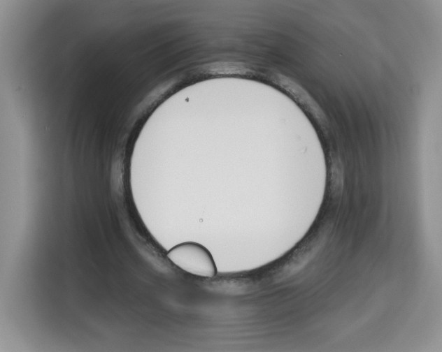 X0000113270533200910221101