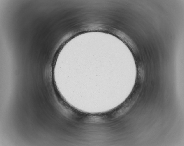 X0000113270534200910221101