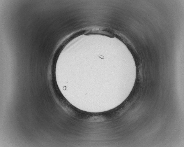 X0000113270536200910221101