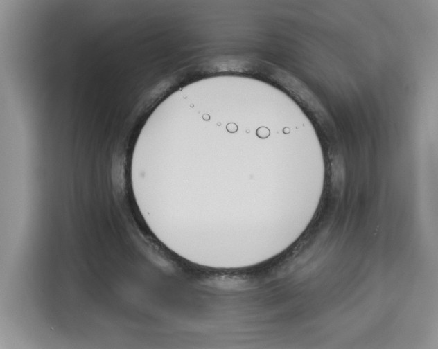 X0000113270537200910221101