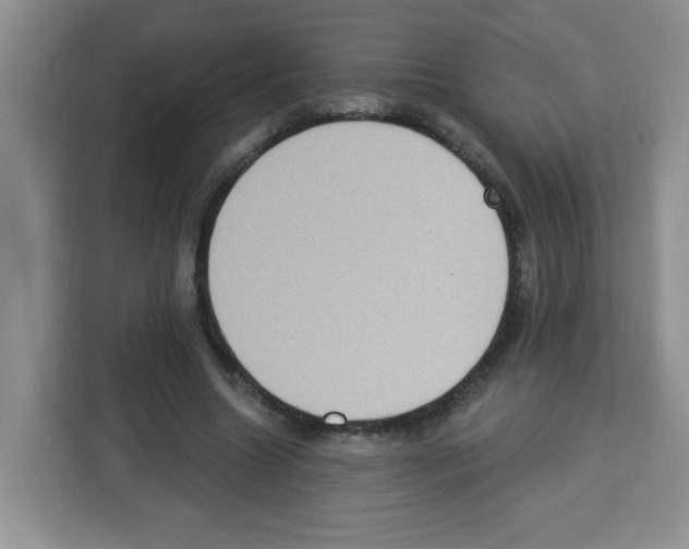 X0000113270538200910221101