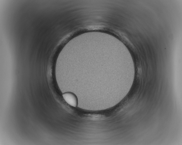 X0000113270539200910221101