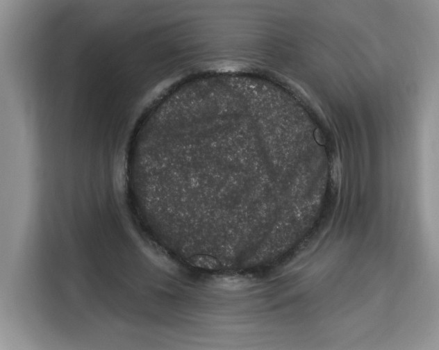 X0000113270540200910221101