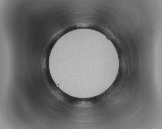 X0000113270543200910221101