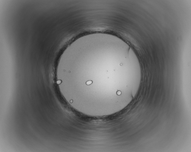 X0000113270544200910221101