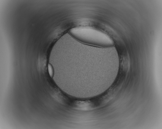 X0000113270548200910221101