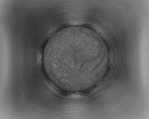 X0000113270550200910221101