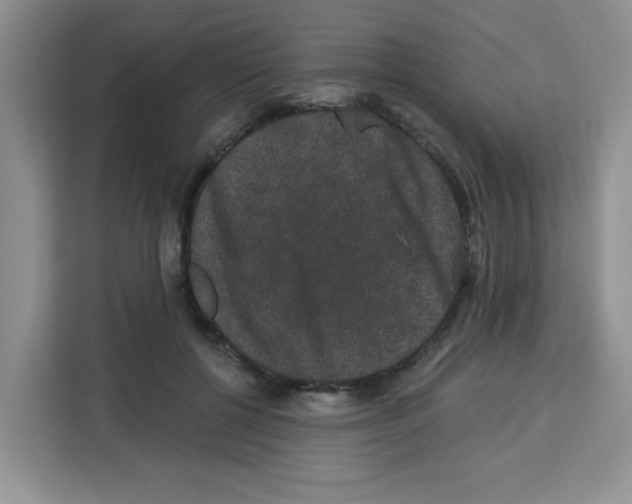 X0000113270552200910221101