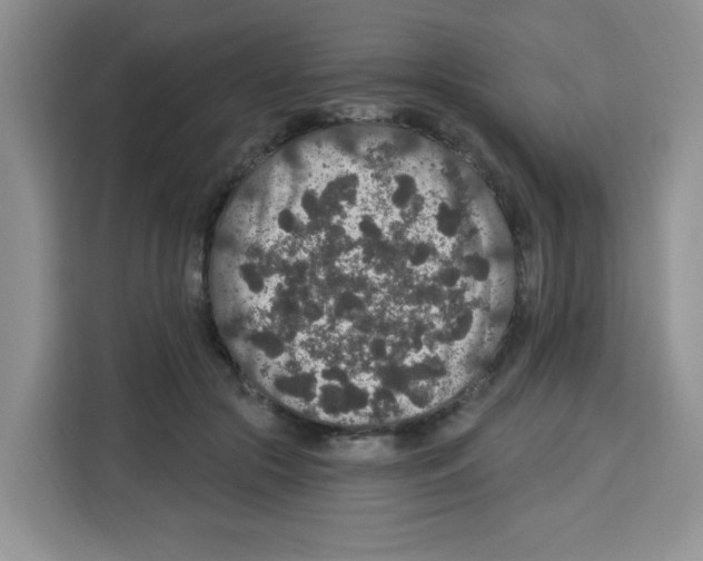 X0000113270553200910221101